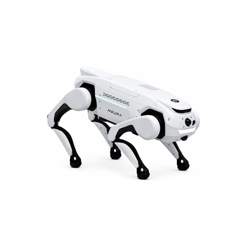 Quadruped