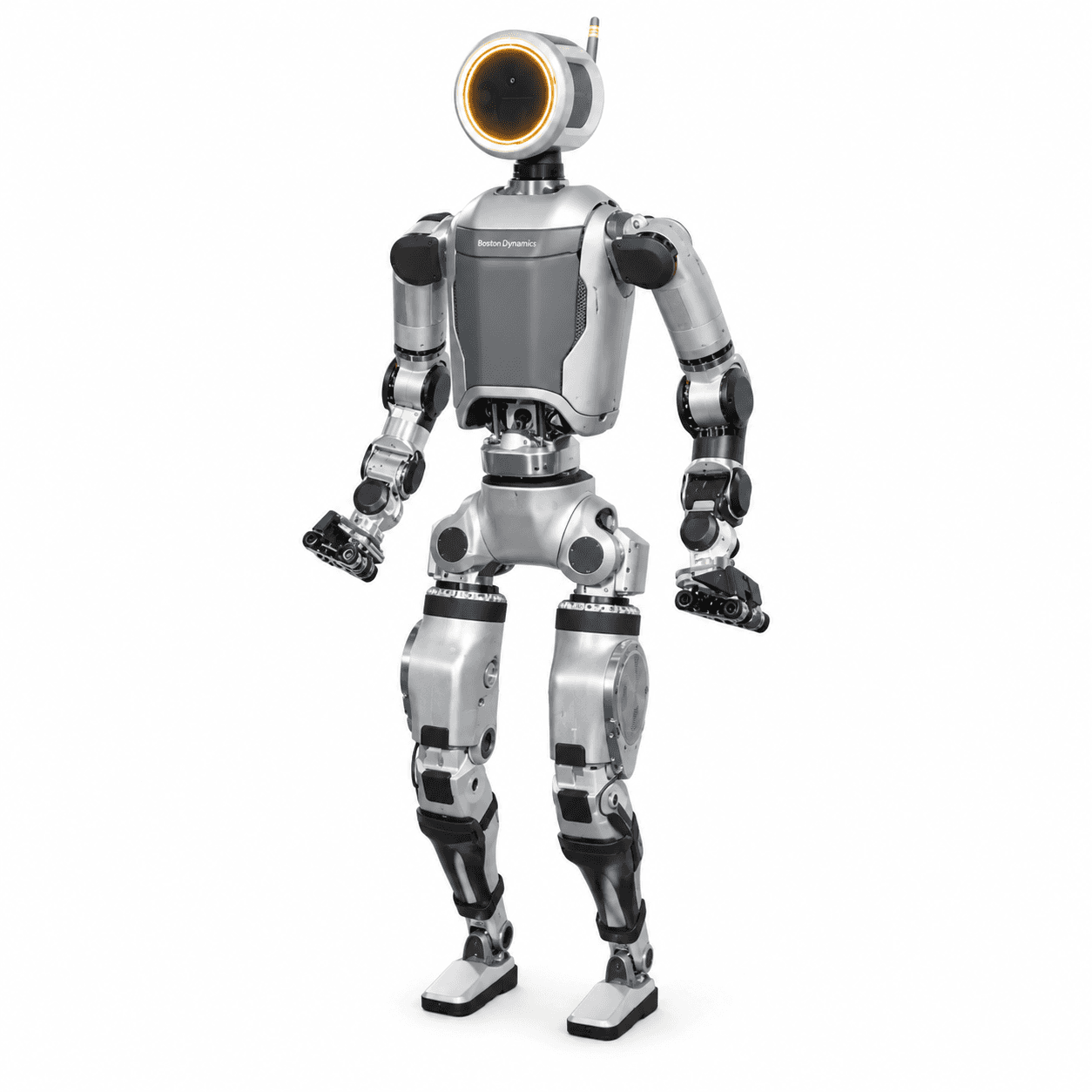 Atlas