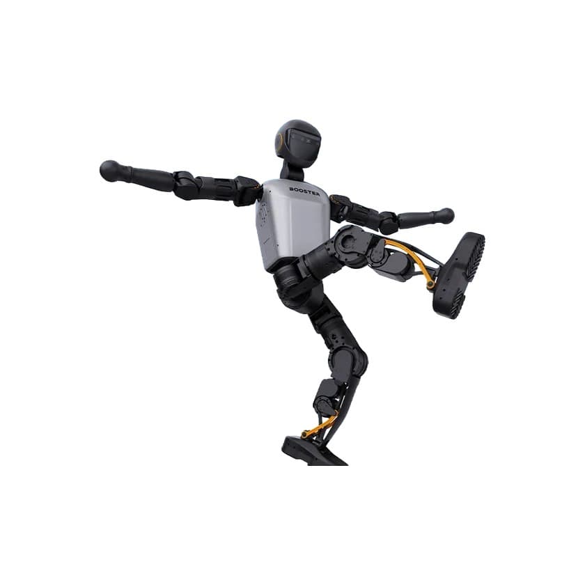 T1