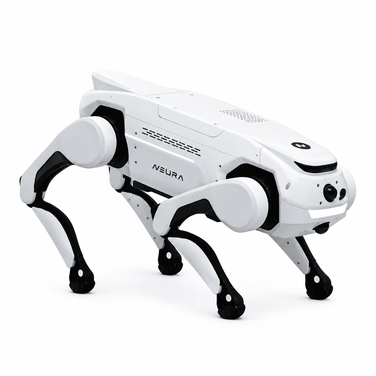 Quadruped
