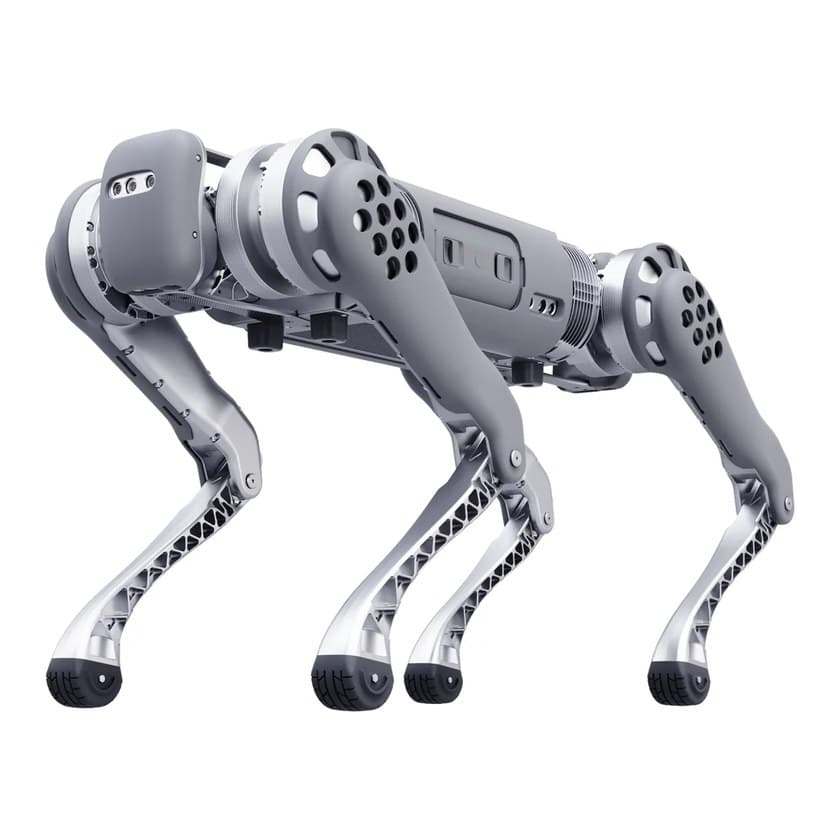 B1